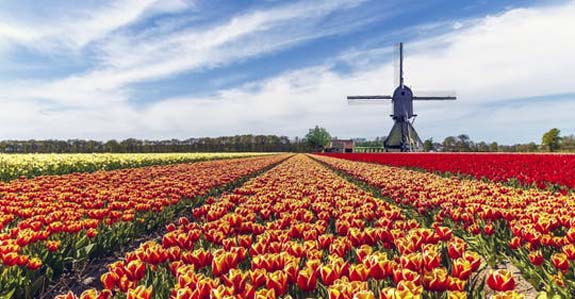1st International Conference on Quantum Information Technologies Applied to Nature and Society :: QUITANS 2018 :: Amsterdam, the Netherlands :: June 28 – 30, 2018